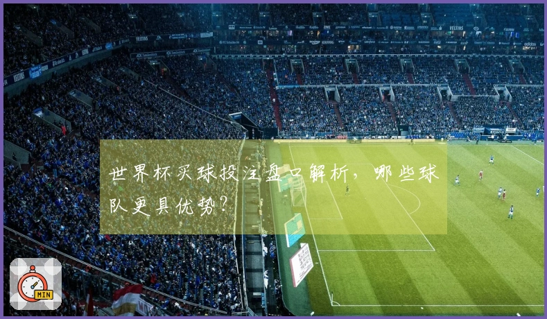 世界杯买球投注盘口解析，哪些球队更具优势？