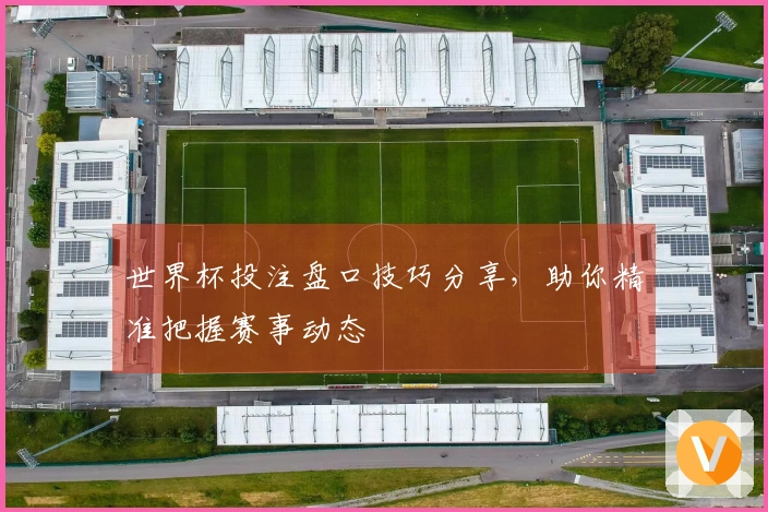 世界杯投注盘口技巧分享，助你精准把握赛事动态