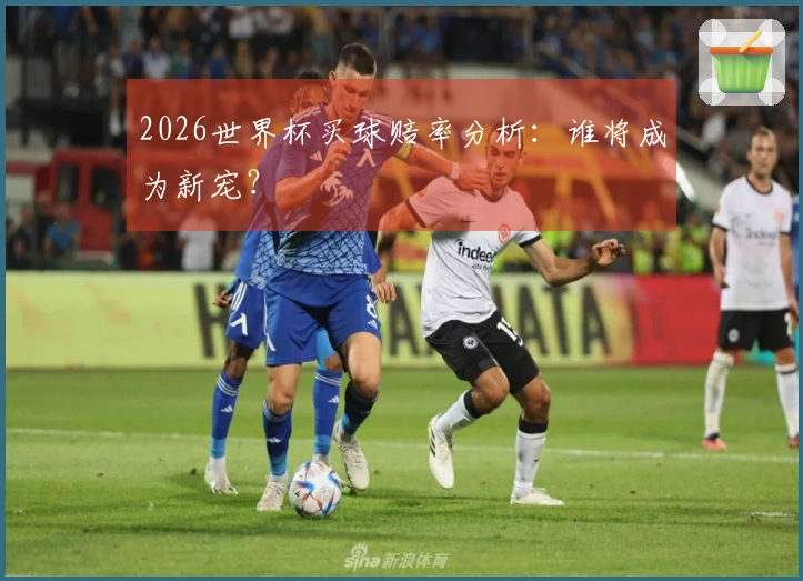 2026世界杯买球赔率分析：谁将成为新宠？
