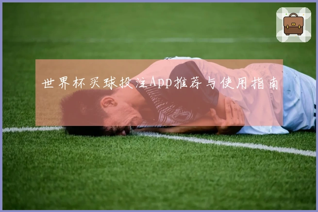世界杯买球投注App推荐与使用指南